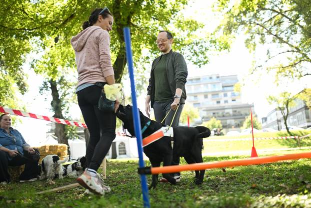 Zagreb: Ekotlon festival zelenih navika, poligon - Udruga za školovanje pasa vodiča