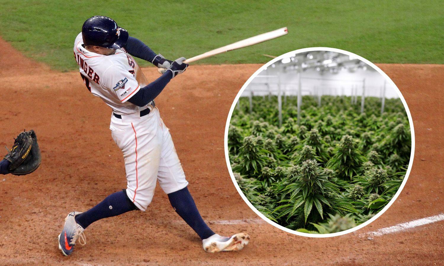 Gospodo, izvolite: Bejzbolaši u SAD-u smiju pušiti marihuanu
