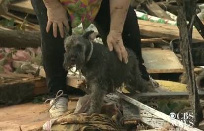Dirljiv prizor: Žrtva tornada je našla svog psa usred intervjua