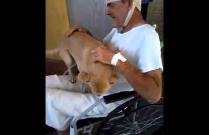 Dirljivi susret: Pas 8 dana čekao vlasnika pred bolnicom 