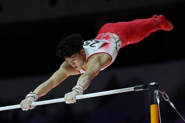 2025 World Artistic Gymnastics Championships