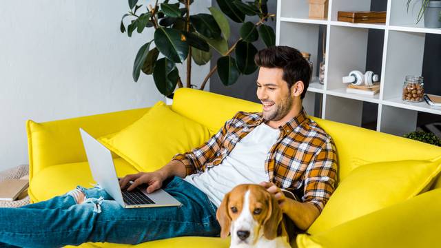 handsome laughing man using laptop on sofa with beagle dog