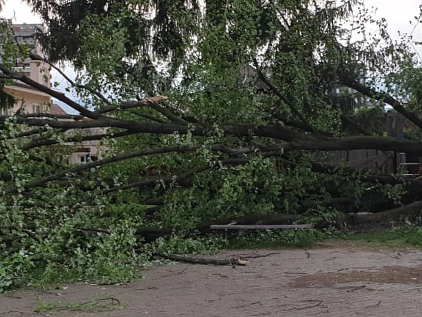 Orkanski vjetar čupao stabla i krovove, ozlijeđeno dvoje ljudi