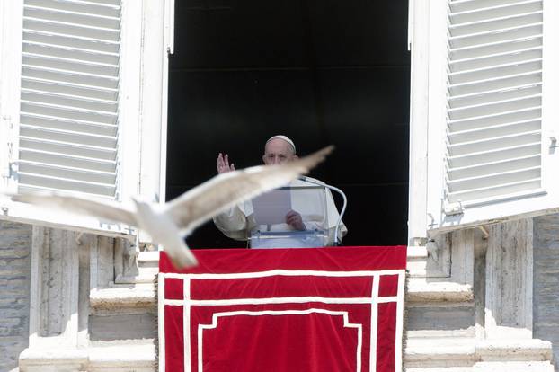 Pope Francis holds the weekly Angelus prayer