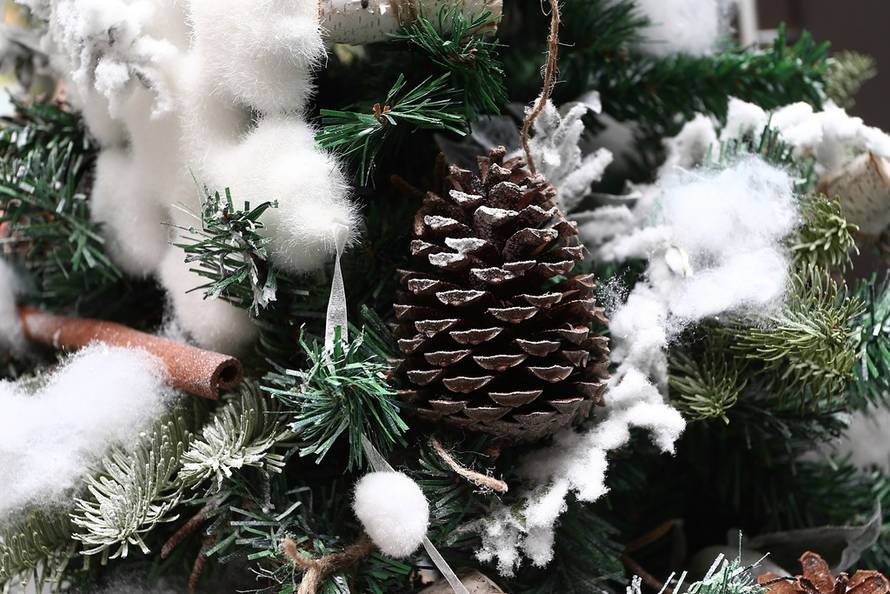 Davor Puklavec/Pixsell