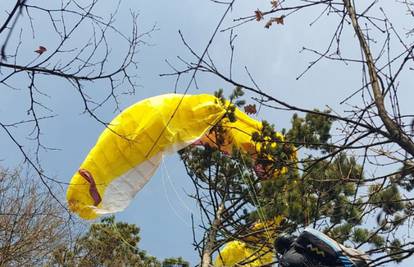 Paraglajder izgubio kontrolu i pao na stablo, HGSS ga spasio