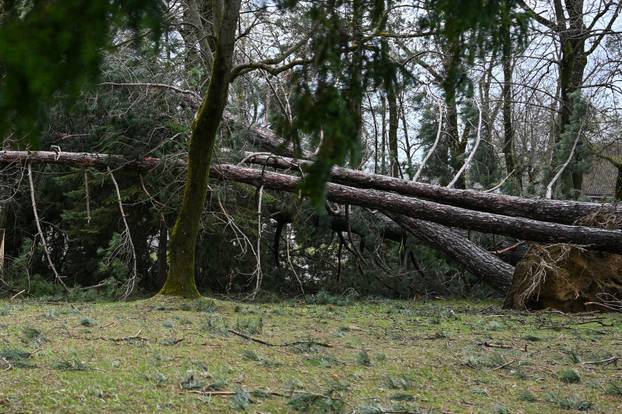 Zagreb: U nevremenu teško oštećeno gradsko groblje Mirogoj