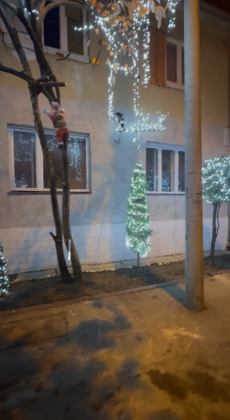 Božić je već stigao na Jarun, Leonard osvijetlio cijelu kuću: 'Dolaze nam i djeca iz kvarta'