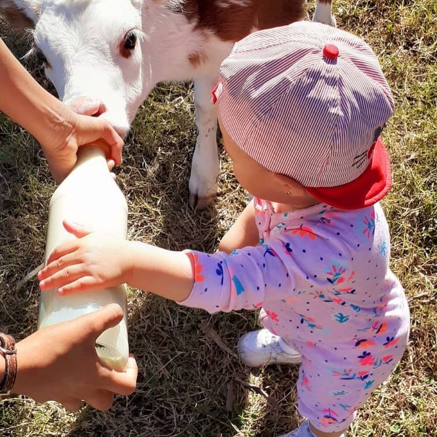 Bogataš Cavani rinta na farmi: Striže ovce, muze krave, kosi...