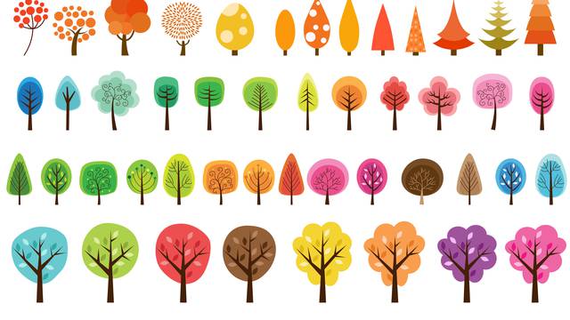 Koje drvo vas najviše privlači? To pokazuje kako mozak radi