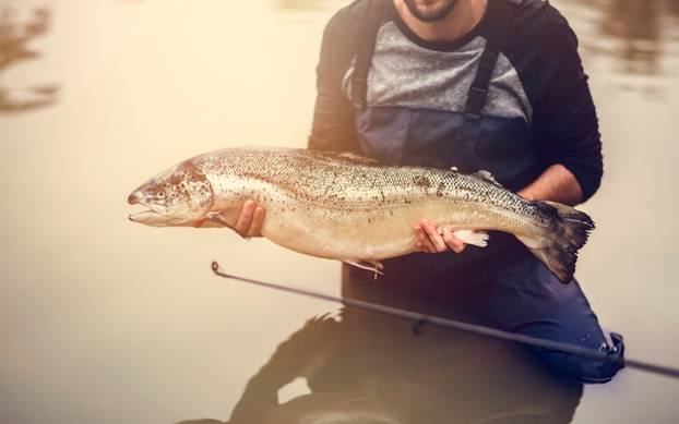 Man caught salmon fish