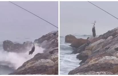 VIDEO Ribiču se okrenuo želudac kad je pogledao što se koprca na udici! Pljušte reakcije