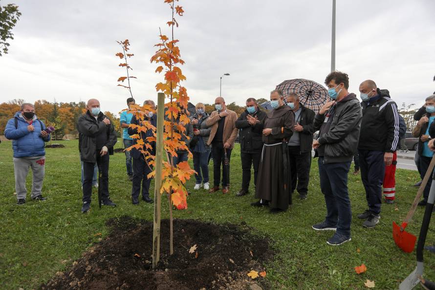 Zagreb: Oko crkve BDM Anđeoske u Dubravi zasađeno je 250 mladih stabala