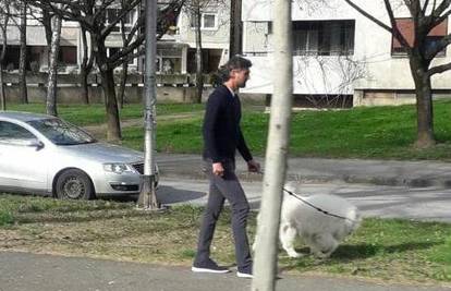 Dok gospođa Ivanišević čuva trudnoću, Goran joj šeće psa