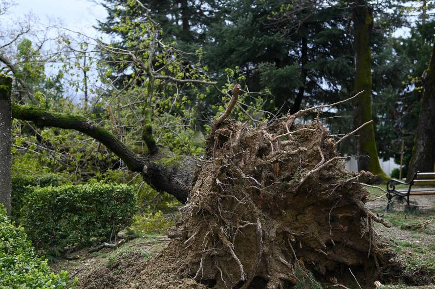 Zagreb: U nevremenu teško oštećeno gradsko groblje Mirogoj