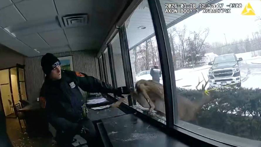 Police officers guide a buck to the outdoors after the buck crashed through the window at a bank in Suffolk county