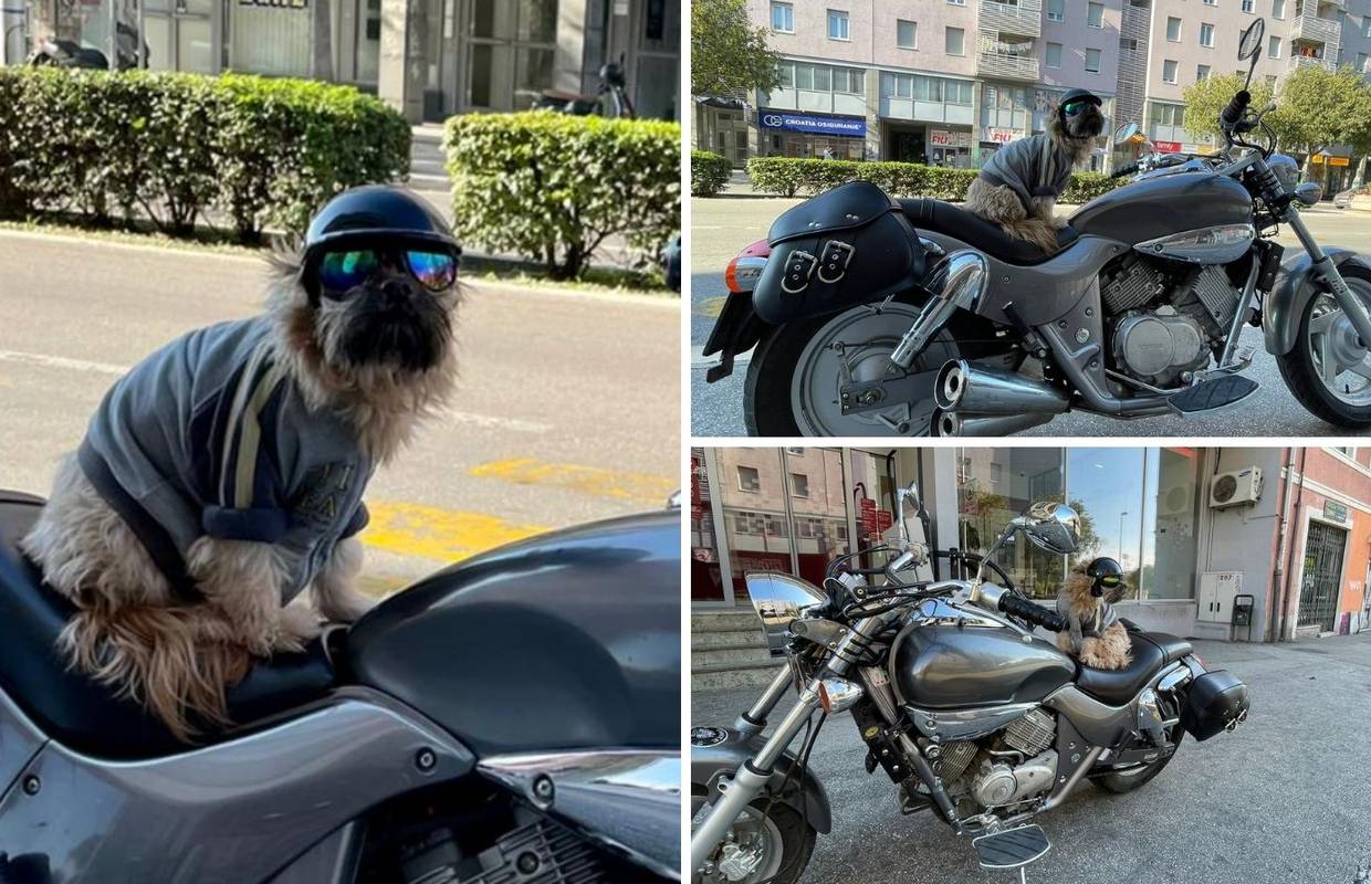 VIDEO Pas Duracell bajker kao i njegov gazda: 'Ima 12 godina, a zajedno smo prošli cijeli svijet!'