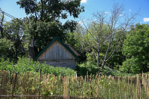 Zagreb: Klet Vladimire Palfi Sinčić