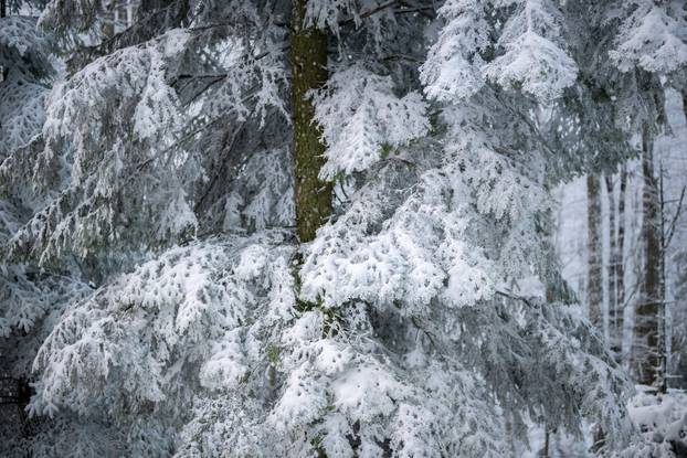 Zimska idila na Sljemenu