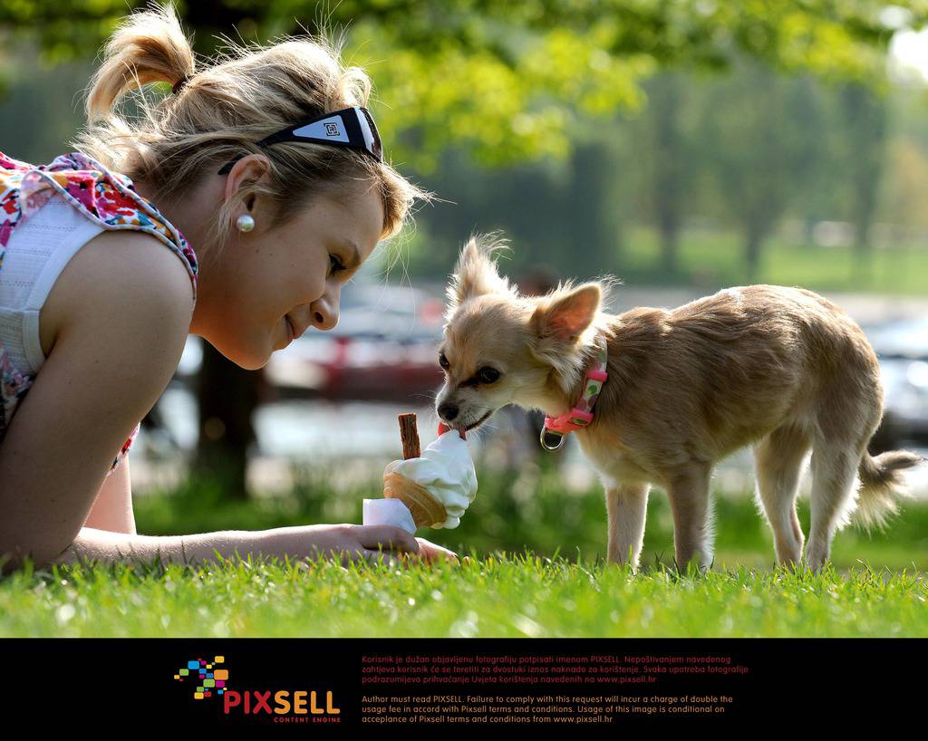 Pixsell