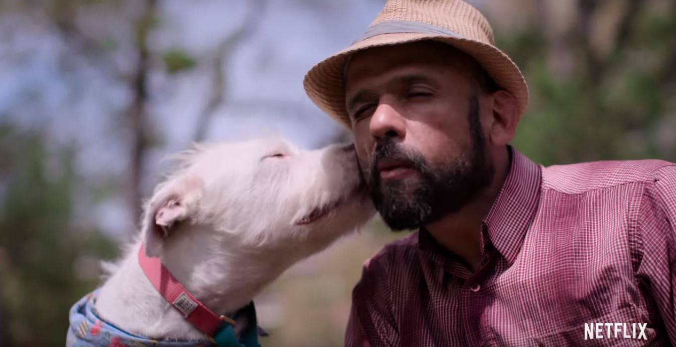 Na Netflixu kreće nova serija o psima koju svi željno iščekuju