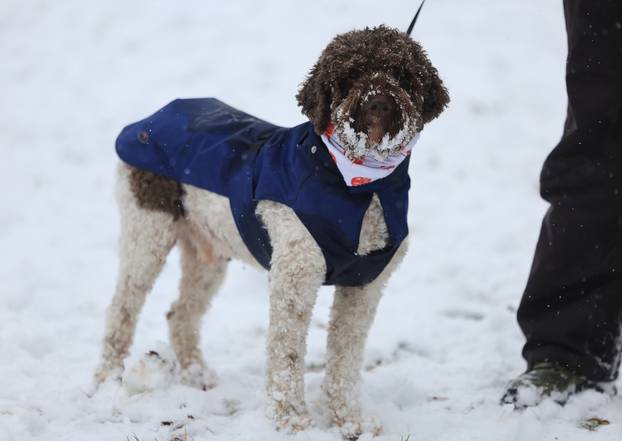 Zagreb: Maksimir, jedno od omiljenih mjesta za sanjkanje, grudanje ili šetnju po snijegu