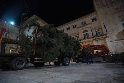 FOTO Božićna jelka puknula prilikom postavljanja na Narodnom trgu u Zadru