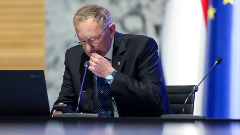 VIDEO Božinović otkrio otkud su migranti koje su spasili iz Save