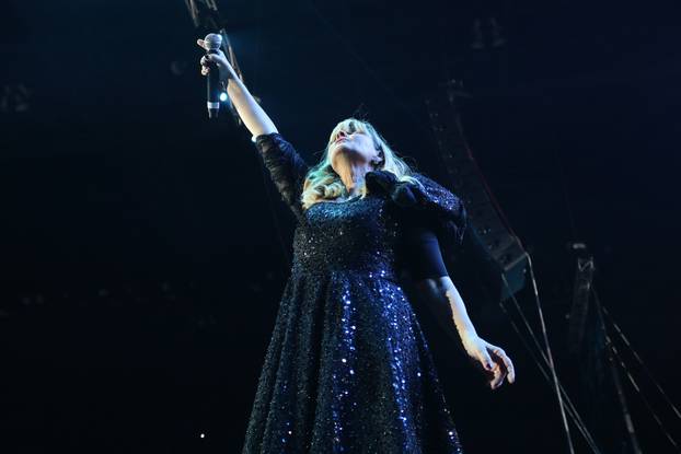 Zagreb: Održan je koncert Sanja, Marinko i Zec - 55 godina grupe Novi fosili