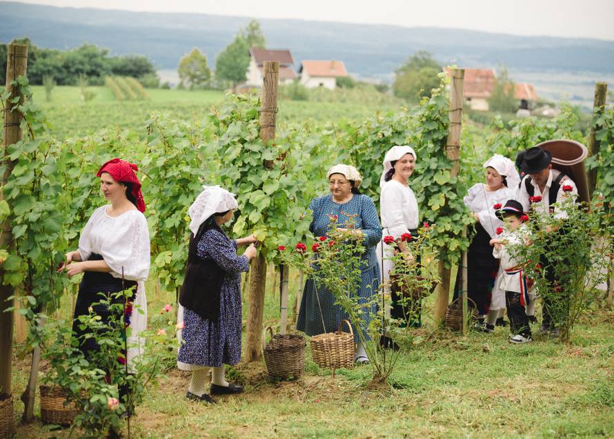 Otkrili smo prekrasnu zelenu destinaciju koja spaja biciklizam i hedonizam