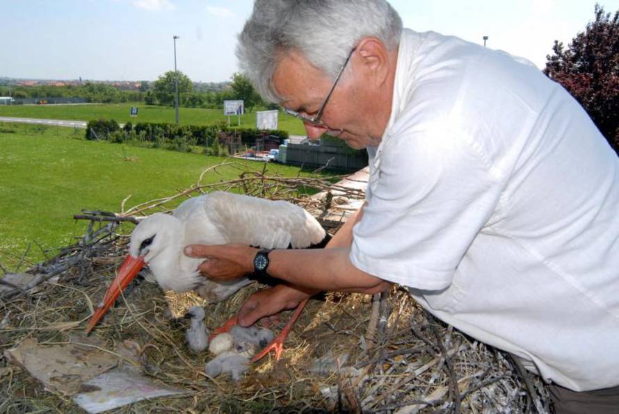 Ivica Galović/PIXSELL