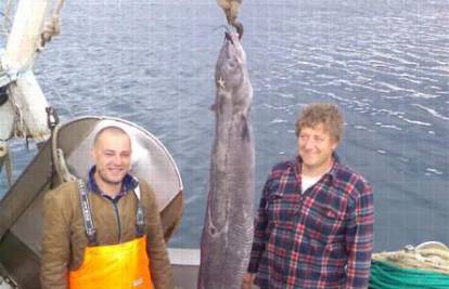 Na ugoru od 37 kilograma ribari će zaraditi 1000 kn