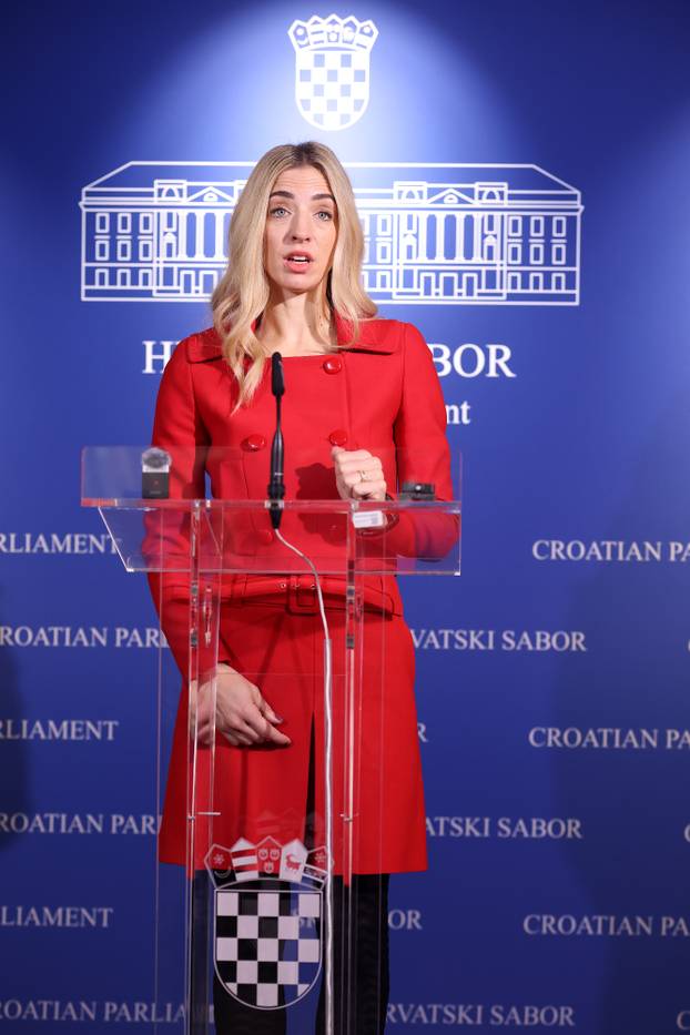 Zagreb: Sanja Radolović o slučaju Dabro