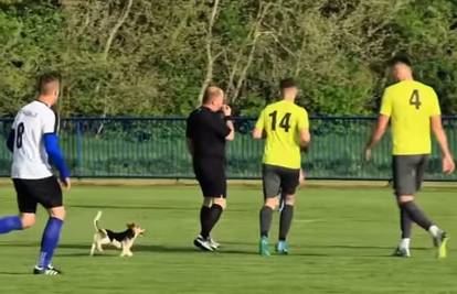 VIDEO 'Huligan' na četiri noge. Pas prekinuo niželigaški derbi kraj Koprivnice: 'Sudac, cucek!'