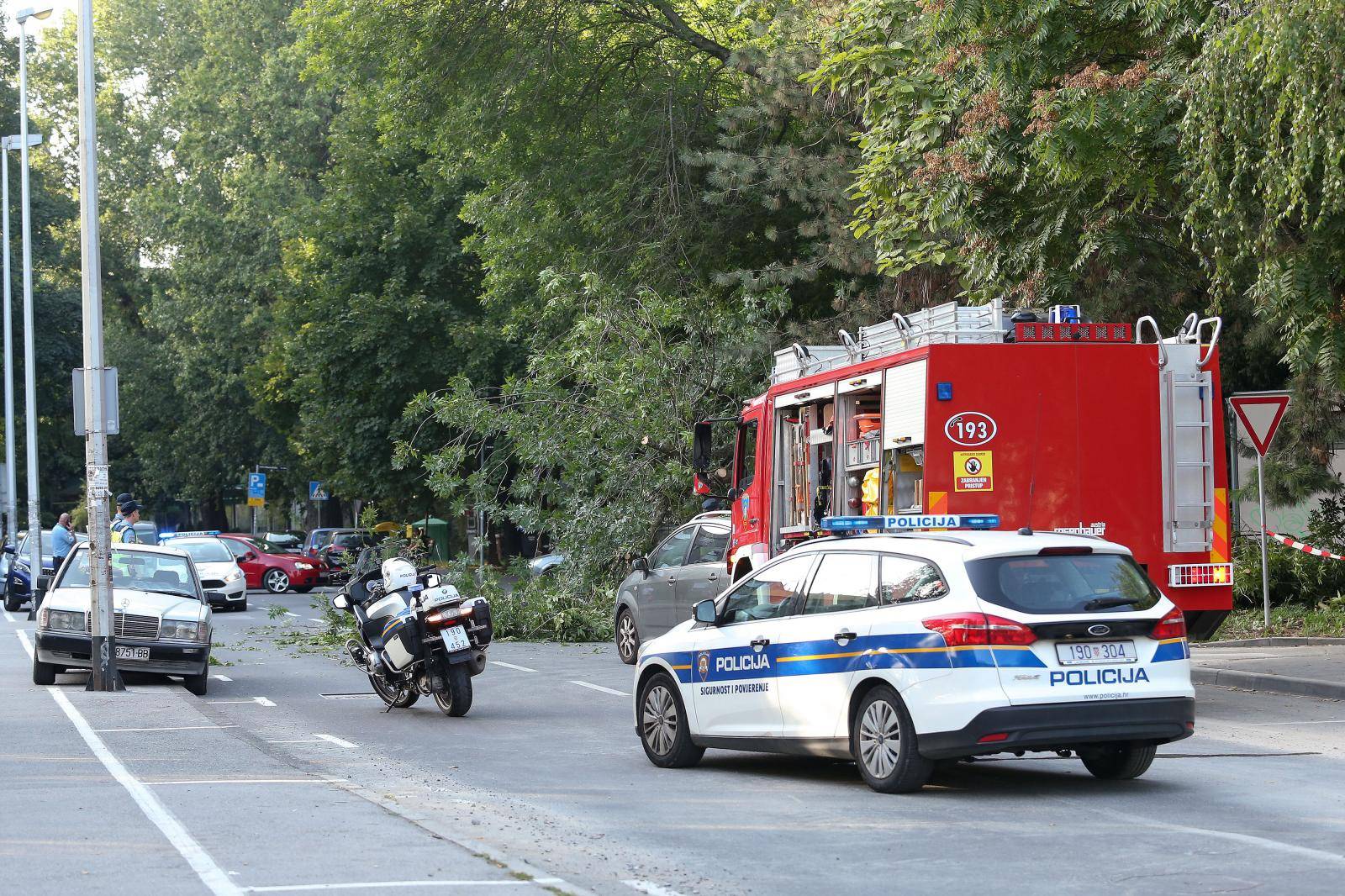 Zagreb: U Lastovskoj ulici pala grana na automobil i oÅ¡tetila ga, intervenirali vatrogasci