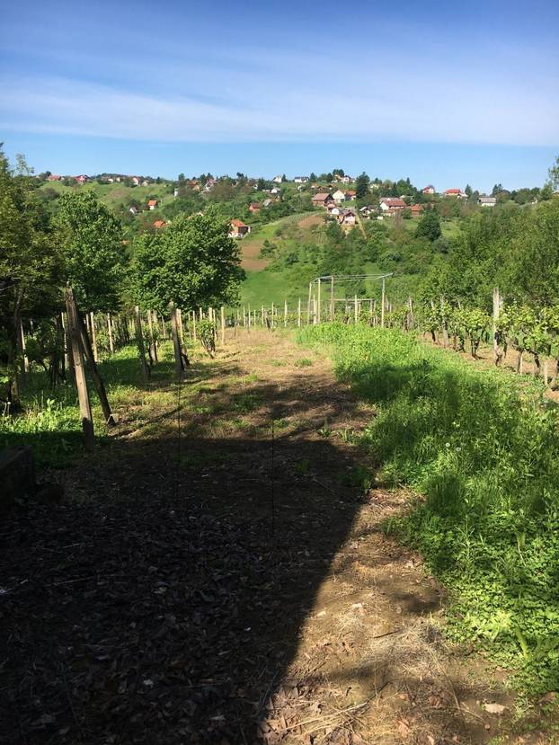 Kod Varaždina prodaju kuću od 9 m2! Nema dozvolu, struju ni vodu. Makadam je. Evo cijene