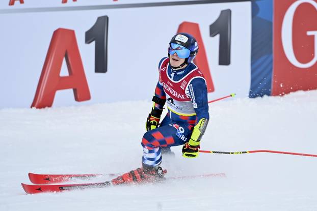 Saalbach: Svjetsko skijasko prvenstvo 2025 - veleslalom muški, druga vožnja