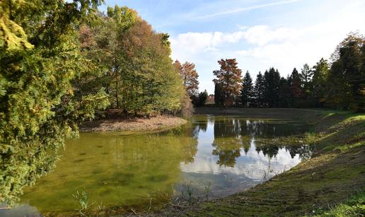 FOTO Obnova zelene baštine: Arboretum Opeka u Marčanu dom je za preko 200 vrsta