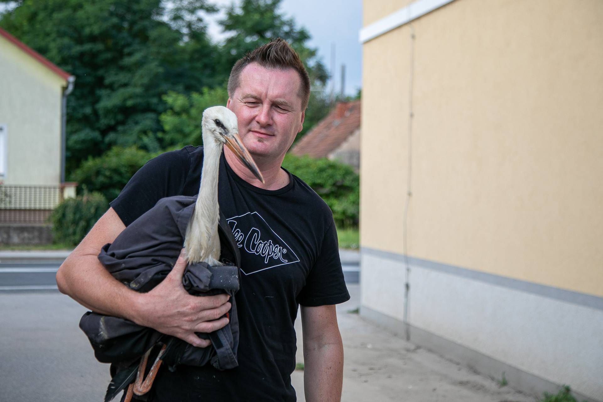 FOTO Spasili rodu nakon pada iz gnijezda u Sračincu: 'Čim smo je vratili slasno je pojela žabu'