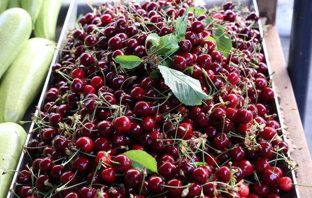 Šibenik: Stigle prve ovogodišnje trešnje po lanjskoj cijeni