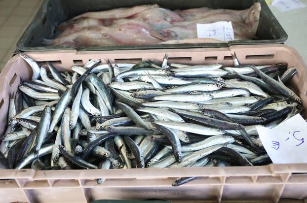 Šibenik: Ponuda ribe na šibenskoj ribarnici