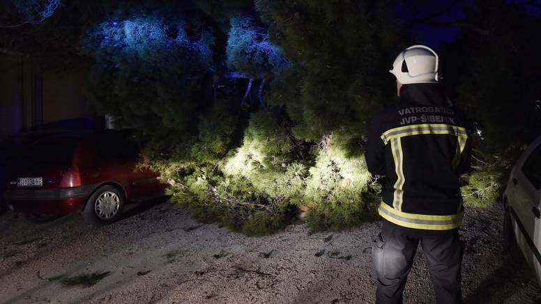 VIDEO Pogledajte kako izvlače automobile ispod stabala nakon orkanske bure u Dalmaciji