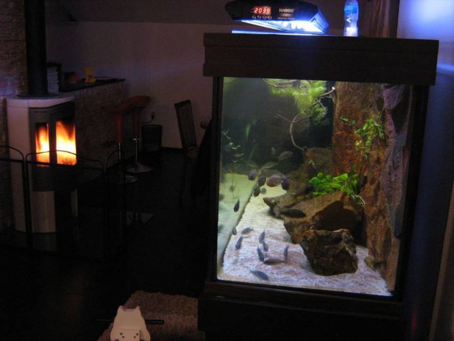 Vedran Čunčić/Akvarij.net