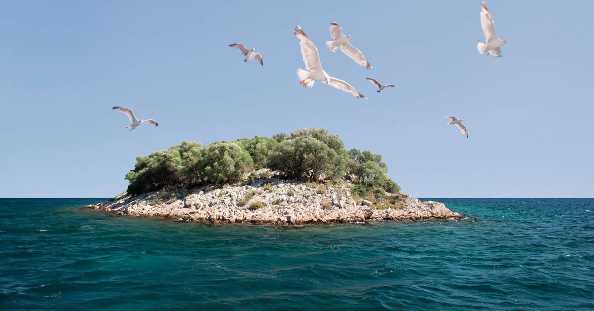 Your Dream of Owning an Island Can Come True with This Croatian Property – But There’s a Catch!