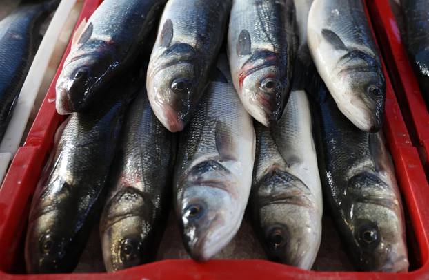 Šibenik: Ponuda ribe na korizmeni petak