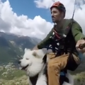 Ovako izgleda kad čovjek povede psa na paraglajding