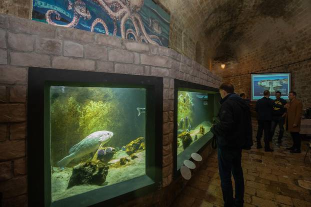 Otvoren preuređeni dubrovački akvarij