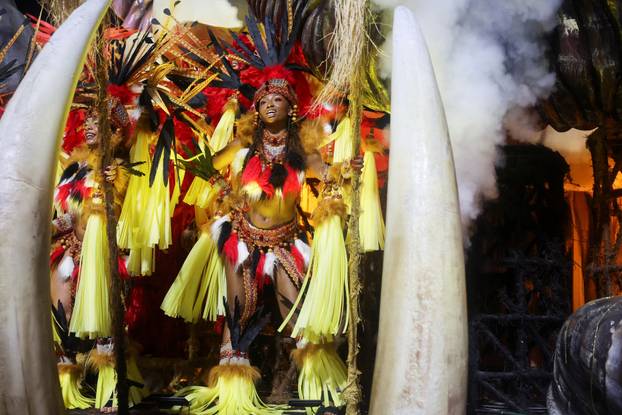 Carnival in Rio de Janeiro