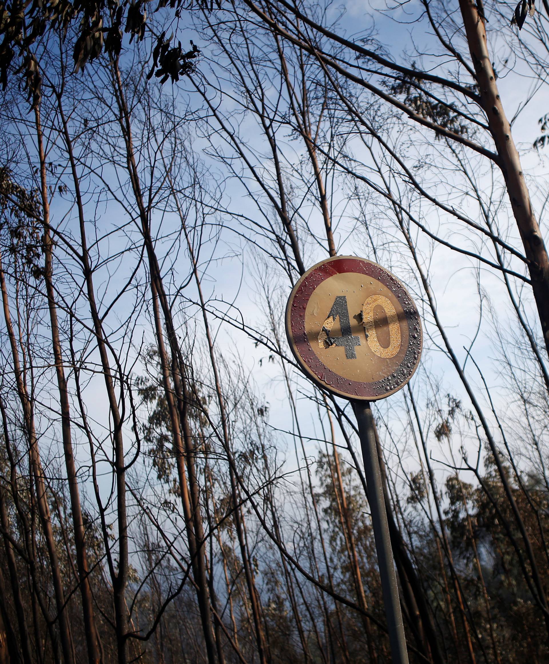 A burnt speed limit sign is seen after a forest fire in Miro, near Penacova