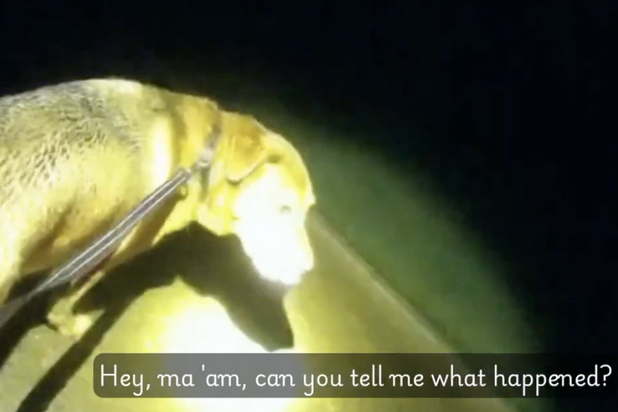 Pas pomogao policajki u potrazi